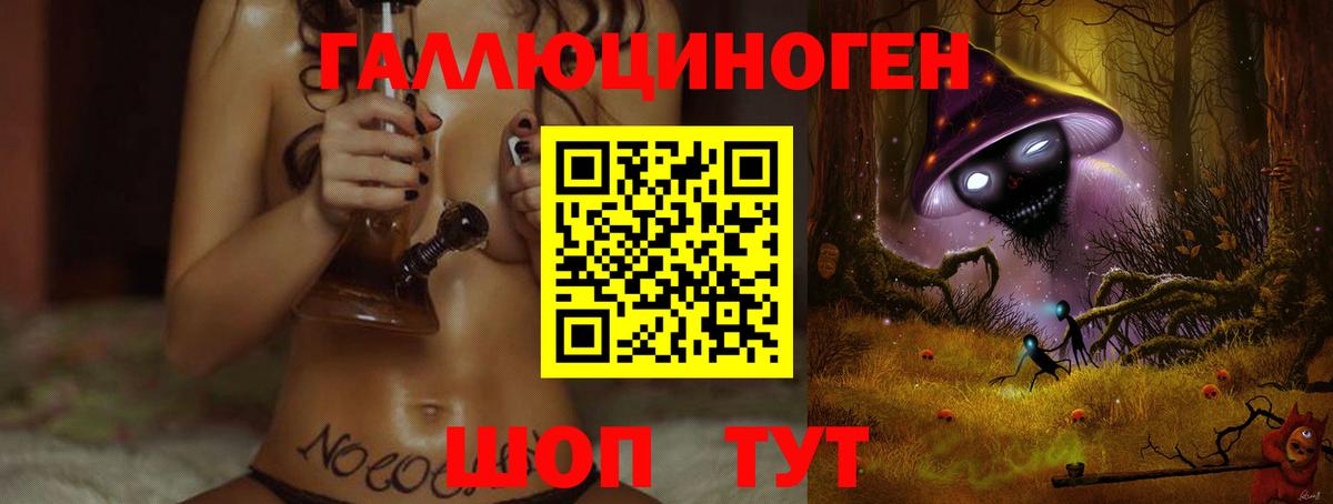 цена   Псилоцибиновые грибы мицелий  Вход с VPN  Галлюциногенные грибы Psilocybine cubensis  Казань 